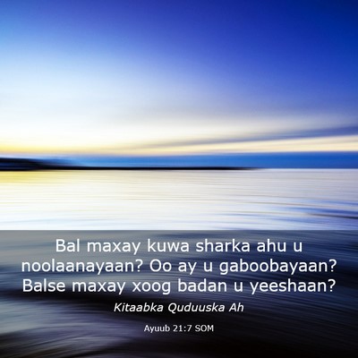 Picture 03 - Ayuub 21:7 SOM - Bal maxay kuwa sharka ahu u noolaanayaan? Oo ay u - Bible Verse Picture