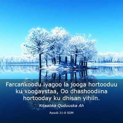 Picture 03 - Ayuub 21:8 SOM - Farcankoodu iyagoo la jooga hortooduu ku - Bible Verse Picture