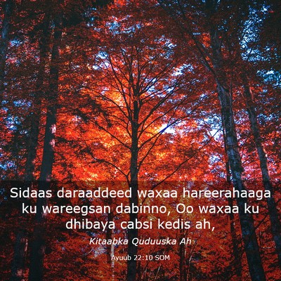 Picture 03 - Ayuub 22:10 SOM - Sidaas daraaddeed waxaa hareerahaaga ku wareegsan - Bible Verse Picture