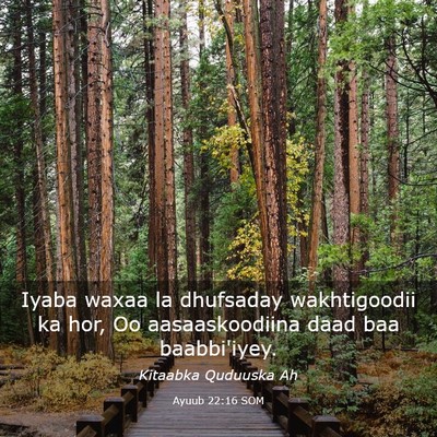 Picture 03 - Ayuub 22:16 SOM - Iyaba waxaa la dhufsaday wakhtigoodii ka hor, Oo - Bible Verse Picture