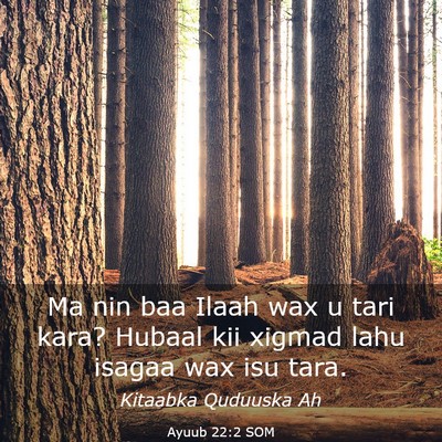Picture 03 - Ayuub 22:2 SOM - Ma nin baa Ilaah wax u tari kara? Hubaal kii - Bible Verse Picture
