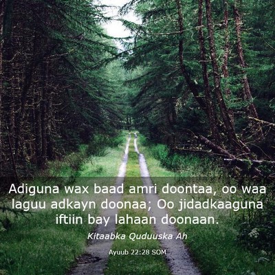 Picture 03 - Ayuub 22:28 SOM - Adiguna wax baad amri doontaa, oo waa laguu - Bible Verse Picture