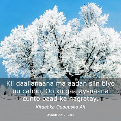 Picture 03 - Ayuub 22:7 SOM - Kii daallanaana ma aadan siin biyo uu cabbo, Oo - Bible Verse Picture