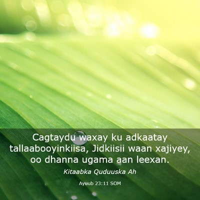 Picture 03 - Ayuub 23:11 SOM - Cagtaydu waxay ku adkaatay tallaabooyinkiisa, - Bible Verse Picture