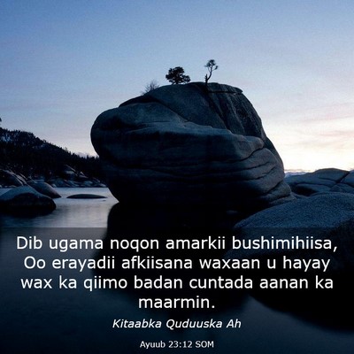 Picture 03 - Ayuub 23:12 SOM - Dib ugama noqon amarkii bushimihiisa, Oo erayadii - Bible Verse Picture