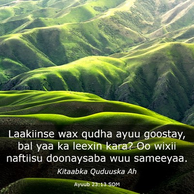 Picture 03 - Ayuub 23:13 SOM - Laakiinse wax qudha ayuu goostay, bal yaa ka - Bible Verse Picture