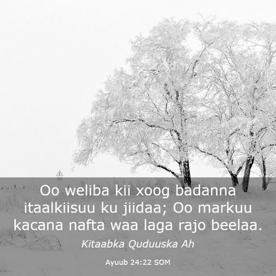 Picture 03 - Ayuub 24:22 SOM - Oo weliba kii xoog badanna itaalkiisuu ku jiidaa; - Bible Verse Picture