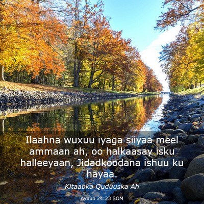 Picture 03 - Ayuub 24:23 SOM - Ilaahna wuxuu iyaga siiyaa meel ammaan ah, oo - Bible Verse Picture