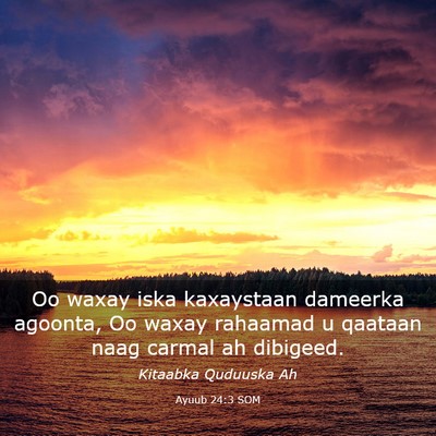 Picture 03 - Ayuub 24:3 SOM - Oo waxay iska kaxaystaan dameerka agoonta, Oo - Bible Verse Picture
