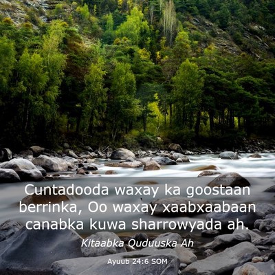 Picture 03 - Ayuub 24:6 SOM - Cuntadooda waxay ka goostaan berrinka, Oo waxay - Bible Verse Picture
