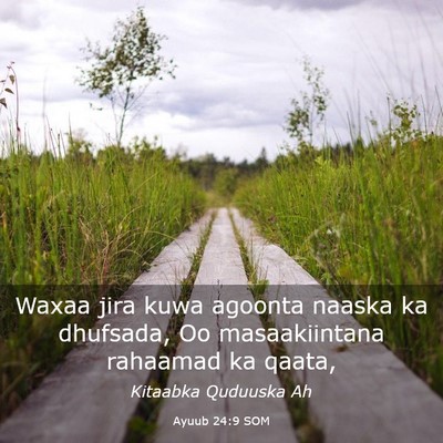 Picture 03 - Ayuub 24:9 SOM - Waxaa jira kuwa agoonta naaska ka dhufsada, Oo - Bible Verse Picture