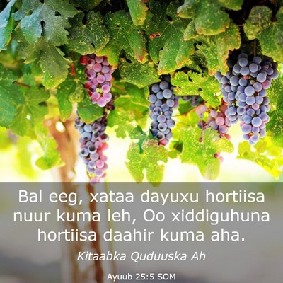 Picture 03 - Ayuub 25:5 SOM - Bal eeg, xataa dayuxu hortiisa nuur kuma leh, Oo - Bible Verse Picture