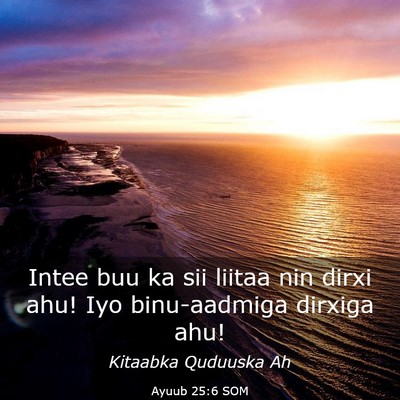 Picture 03 - Ayuub 25:6 SOM - Intee buu ka sii liitaa nin dirxi ahu! Iyo - Bible Verse Picture