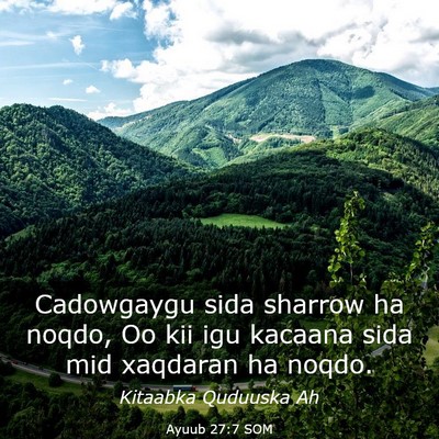 Picture 03 - Ayuub 27:7 SOM - Cadowgaygu sida sharrow ha noqdo, Oo kii igu - Bible Verse Picture