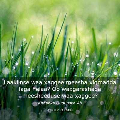 Picture 03 - Ayuub 28:12 SOM - Laakiinse waa xaggee meesha xigmadda laga helaa? - Bible Verse Picture