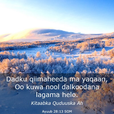 Picture 03 - Ayuub 28:13 SOM - Dadku qiimaheeda ma yaqaan, Oo kuwa nool - Bible Verse Picture