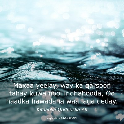 Picture 03 - Ayuub 28:21 SOM - Maxaa yeelay, way ka qarsoon tahay kuwa nool - Bible Verse Picture