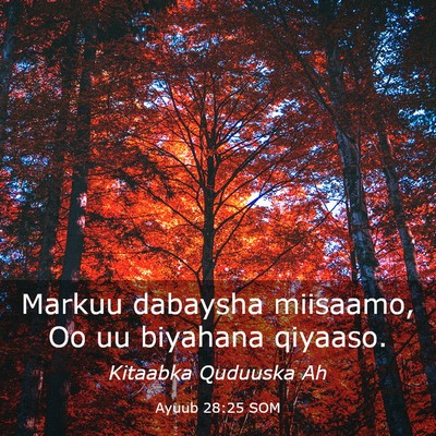 Picture 03 - Ayuub 28:25 SOM - Markuu dabaysha miisaamo, Oo uu biyahana - Bible Verse Picture
