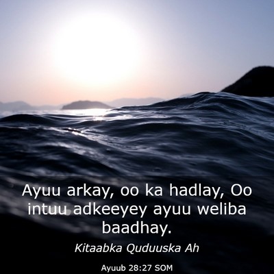 Picture 03 - Ayuub 28:27 SOM - Ayuu arkay, oo ka hadlay, Oo intuu adkeeyey ayuu - Bible Verse Picture