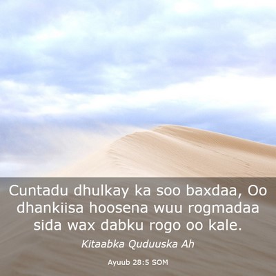 Picture 03 - Ayuub 28:5 SOM - Cuntadu dhulkay ka soo baxdaa, Oo dhankiisa - Bible Verse Picture