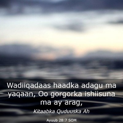 Picture 03 - Ayuub 28:7 SOM - Wadiiqadaas haadka adagu ma yaqaan, Oo gorgorka - Bible Verse Picture