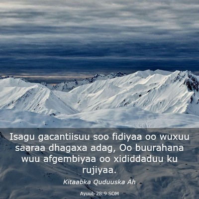 Picture 03 - Ayuub 28:9 SOM - Isagu gacantiisuu soo fidiyaa oo wuxuu saaraa - Bible Verse Picture