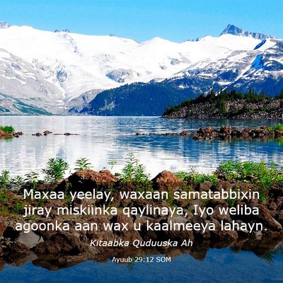 Picture 03 - Ayuub 29:12 SOM - Maxaa yeelay, waxaan samatabbixin jiray miskiinka - Bible Verse Picture
