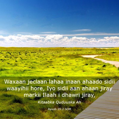 Picture 03 - Ayuub 29:2 SOM - Waxaan jeclaan lahaa inaan ahaado sidii waayihii - Bible Verse Picture