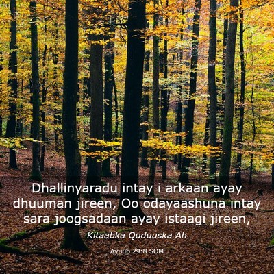 Picture 03 - Ayuub 29:8 SOM - Dhallinyaradu intay i arkaan ayay dhuuman jireen, - Bible Verse Picture