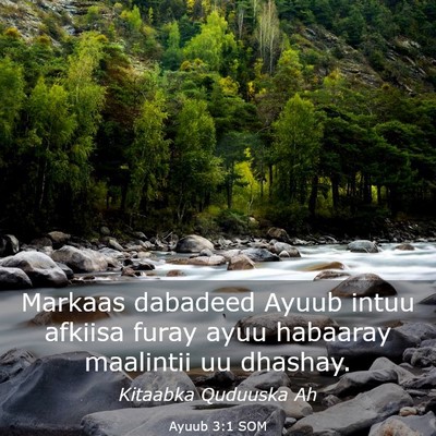 Picture 03 - Ayuub 3:1 SOM - Markaas dabadeed Ayuub intuu afkiisa furay ayuu - Bible Verse Picture