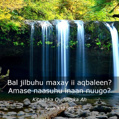 Picture 03 - Ayuub 3:12 SOM - Bal jilbuhu maxay ii aqbaleen? Amase naasuhu - Bible Verse Picture