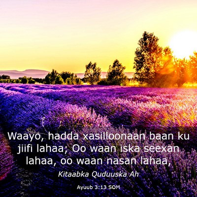 Picture 03 - Ayuub 3:13 SOM - Waayo, hadda xasilloonaan baan ku jiifi lahaa; Oo - Bible Verse Picture