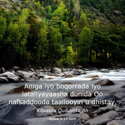 Picture 03 - Ayuub 3:14 SOM - Aniga iyo boqorrada iyo lataliyayaasha dunida Oo - Bible Verse Picture