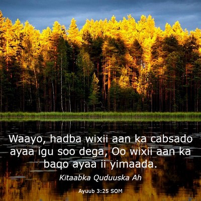Picture 03 - Ayuub 3:25 SOM - Waayo, hadba wixii aan ka cabsado ayaa igu soo - Bible Verse Picture