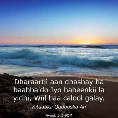 Picture 03 - Ayuub 3:3 SOM - Dharaartii aan dhashay ha baabba'do Iyo habeenkii - Bible Verse Picture