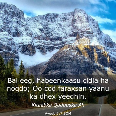 Picture 03 - Ayuub 3:7 SOM - Bal eeg, habeenkaasu cidla ha noqdo; Oo cod - Bible Verse Picture