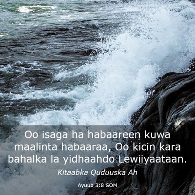 Picture 03 - Ayuub 3:8 SOM - Oo isaga ha habaareen kuwa maalinta habaaraa, Oo - Bible Verse Picture