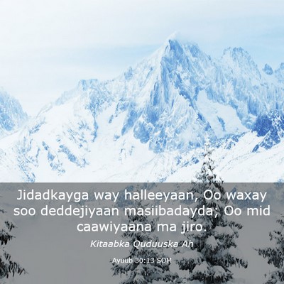 Picture 03 - Ayuub 30:13 SOM - Jidadkayga way halleeyaan, Oo waxay soo - Bible Verse Picture