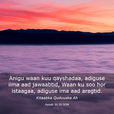 Picture 03 - Ayuub 30:20 SOM - Anigu waan kuu qayshadaa, adiguse iima aad - Bible Verse Picture