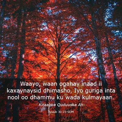 Picture 03 - Ayuub 30:23 SOM - Waayo, waan ogahay inaad ii kaxaynaysid dhimasho, - Bible Verse Picture