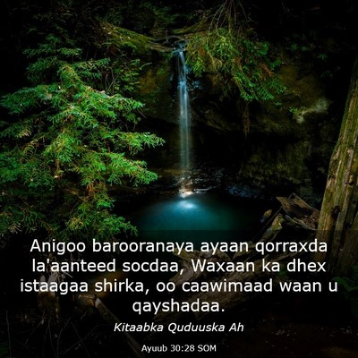Picture 03 - Ayuub 30:28 SOM - Anigoo barooranaya ayaan qorraxda la'aanteed - Bible Verse Picture