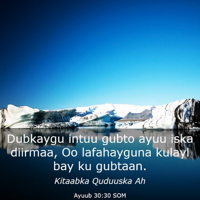 Picture 03 - Ayuub 30:30 SOM - Dubkaygu intuu gubto ayuu iska diirmaa, Oo - Bible Verse Picture