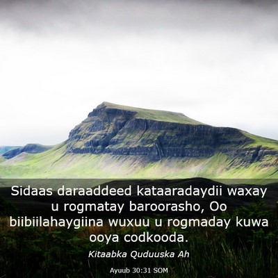 Picture 03 - Ayuub 30:31 SOM - Sidaas daraaddeed kataaradaydii waxay u rogmatay - Bible Verse Picture