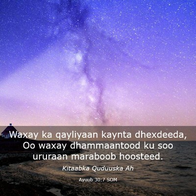 Picture 03 - Ayuub 30:7 SOM - Waxay ka qayliyaan kaynta dhexdeeda, Oo waxay - Bible Verse Picture