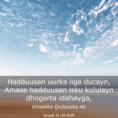 Picture 03 - Ayuub 31:20 SOM - Hadduusan uurka iiga ducayn, Amase hadduusan isku - Bible Verse Picture
