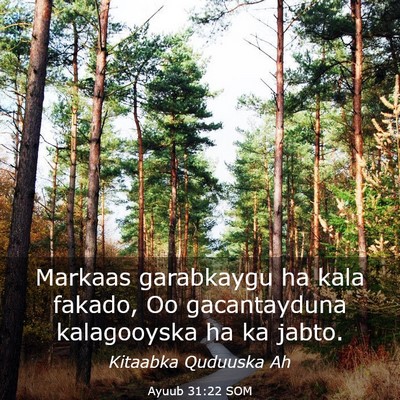 Picture 03 - Ayuub 31:22 SOM - Markaas garabkaygu ha kala fakado, Oo - Bible Verse Picture