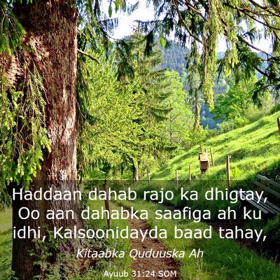 Picture 03 - Ayuub 31:24 SOM - Haddaan dahab rajo ka dhigtay, Oo aan dahabka - Bible Verse Picture