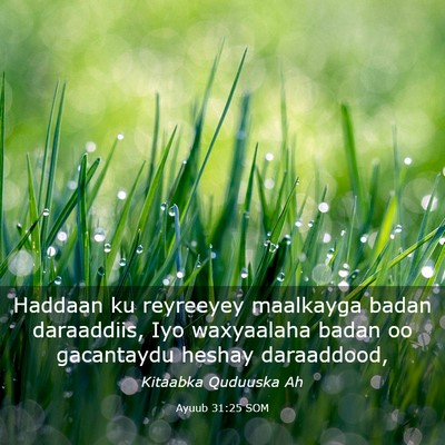 Picture 03 - Ayuub 31:25 SOM - Haddaan ku reyreeyey maalkayga badan daraaddiis, - Bible Verse Picture