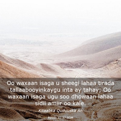 Picture 03 - Ayuub 31:37 SOM - Oo waxaan isaga u sheegi lahaa tirada - Bible Verse Picture