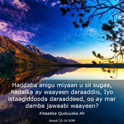 Picture 03 - Ayuub 32:16 SOM - Haddaba anigu miyaan u sii sugaa, hadalka ay - Bible Verse Picture